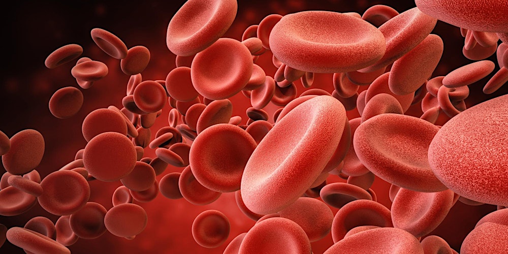 General Haematology in Practice Study Day