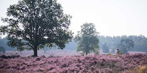 Retraite: Stilstaan en richting kiezen