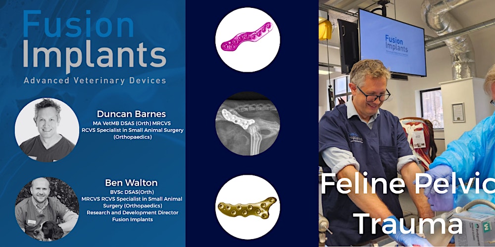 Feline Pelvic Trauma Wet Lab