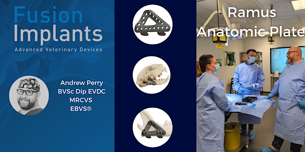 Ramus Anatomic Plate (RAP) Wet Lab