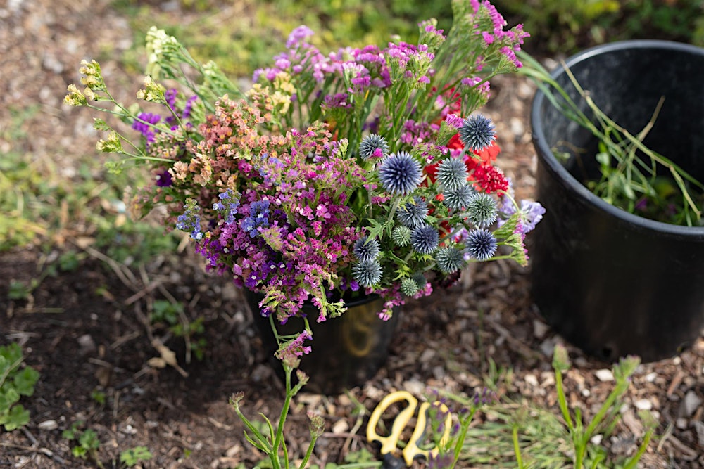 Flower Farmer to Florist - One Day Course