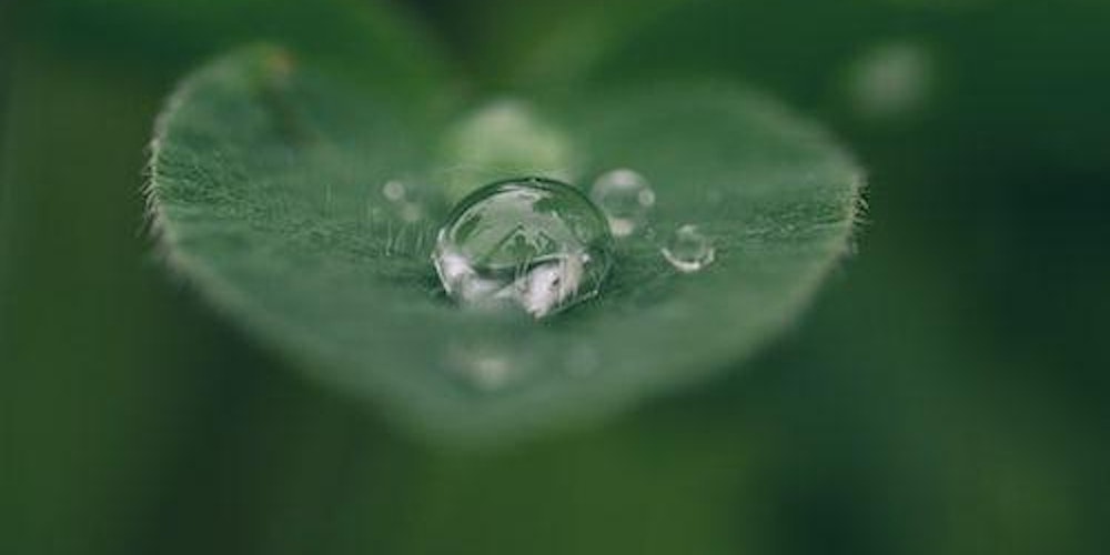 Unlock the Secrets of Your Past Life Relationships