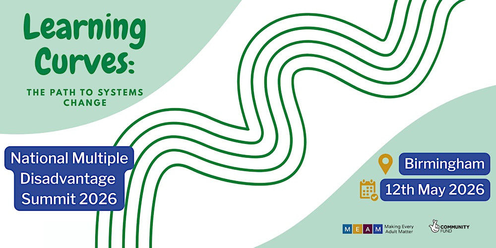 Learning Curves: the path to systems change