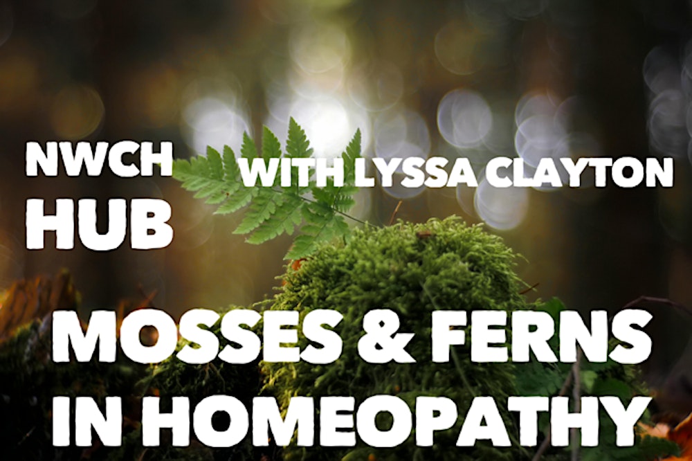 NWCH HUB: Mosses & Ferns in Homeopathy