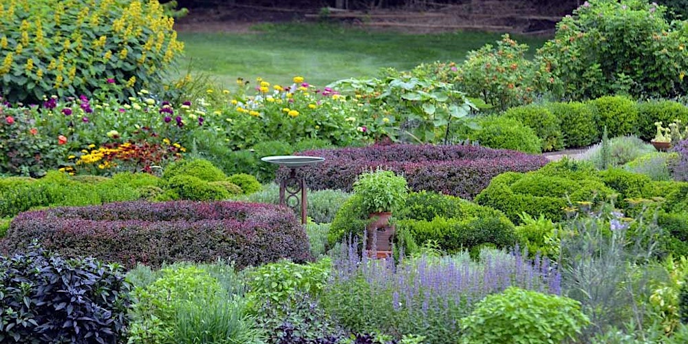 Master Your Camera Controls - Photography Class