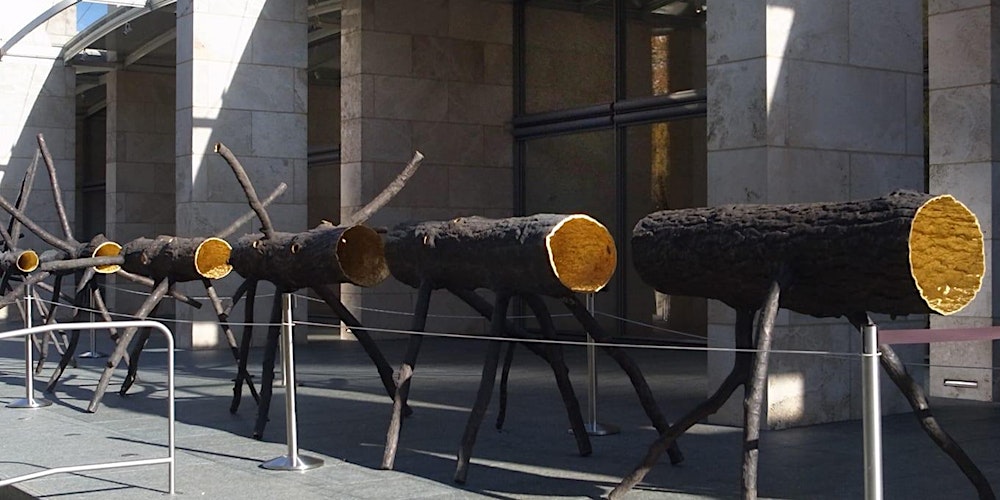 Master Your Camera Controls - Photography Class