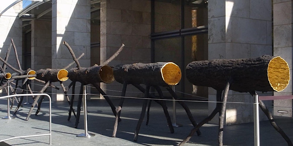 Composition in the Field - Photography Class