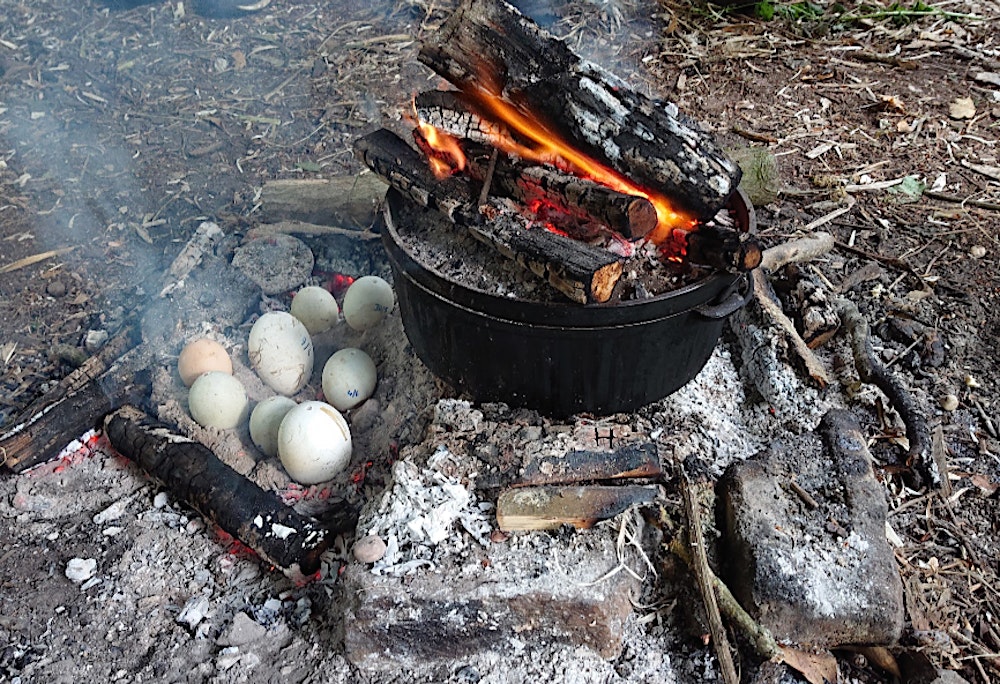 Campfire Cookery