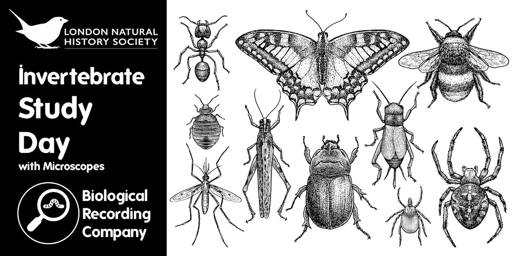 Invertebrate Study Day