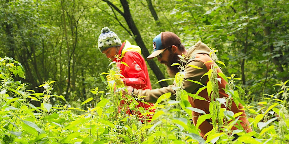 Foraging Course in Wirral