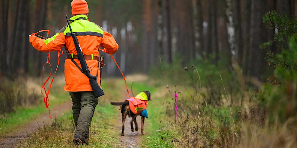 Workshop Riemenarbeit für VGP/BP - 21.05.2026