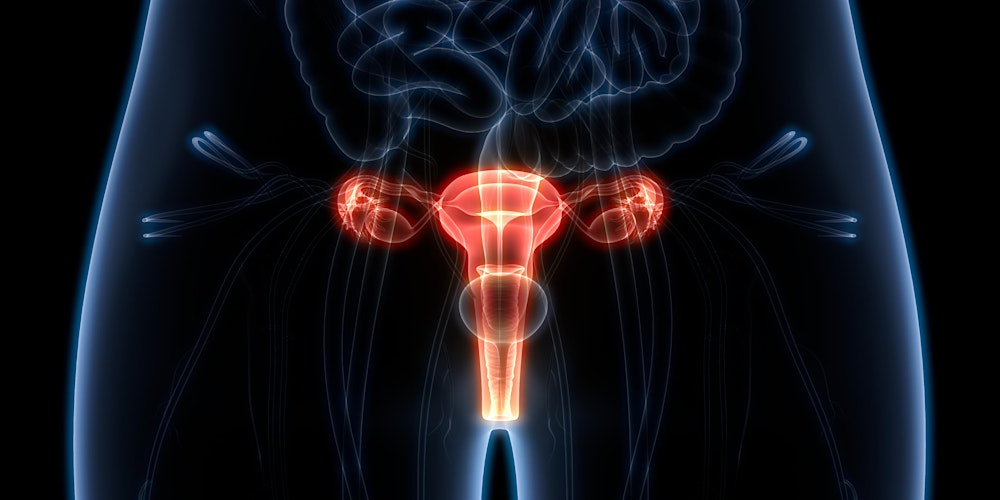 Gynaecology Study Day