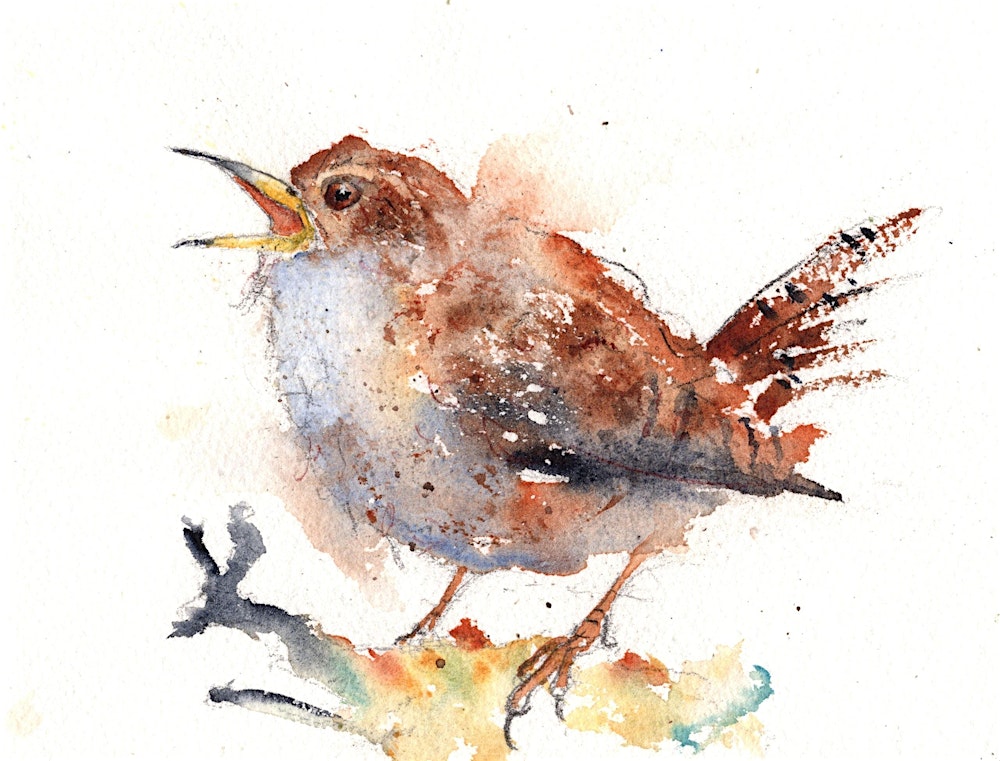 Troglodytes Troglodytes: Bird Painting with Tim Gomersall
