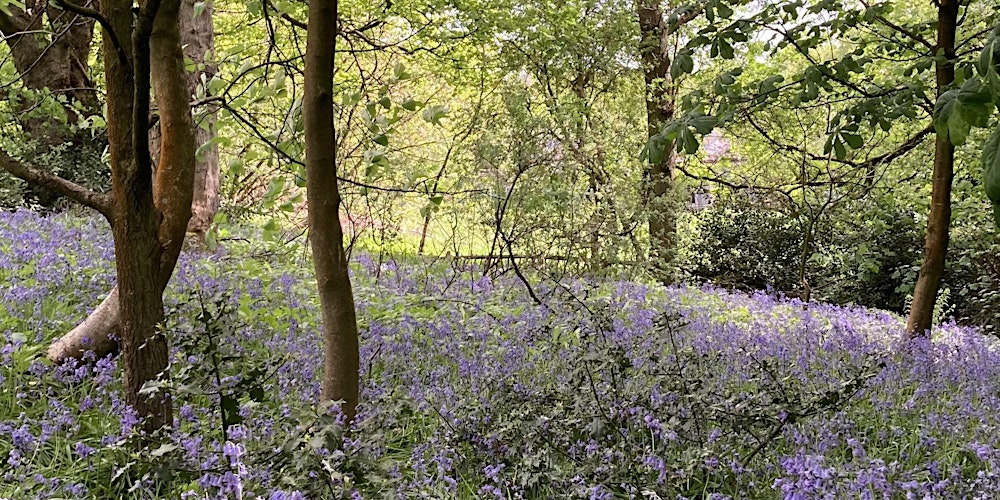 Exploring the Sacred in Nature