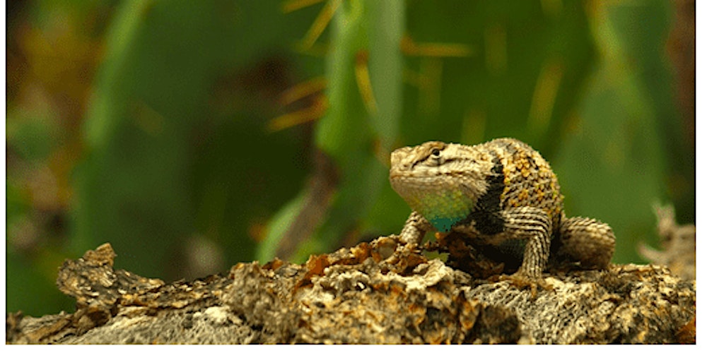 Master Your Camera Controls - Photography Workshop