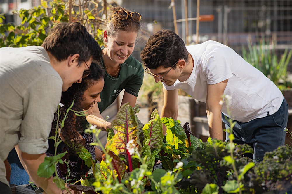 Urban Gardening Hacks - Gemüse in der Stadt anbauen