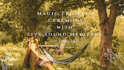 Shamanic Guided Insight Ceremony with Natural Allies and Live Music