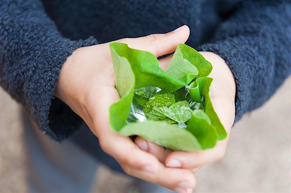 CIRC Elementary presents: Exploring Nature Through a Transdisciplinary Lens
