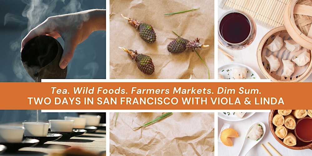 Tea, Foraging, Pasta & Friendship: San Francisco with Linda & Viola