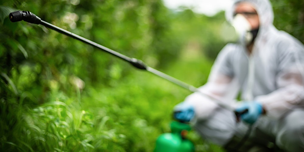 Lawn & Ornamental Pest Management: Overview, Exam Review, & CEUs