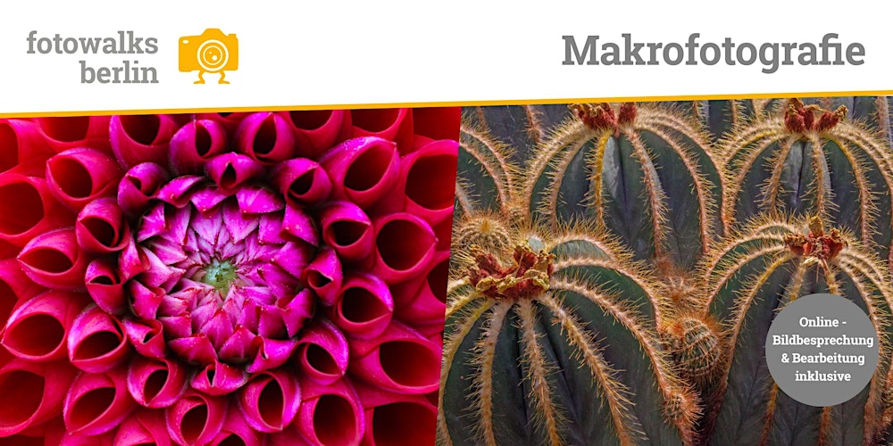 Fotokurs Berlin: Makrofotografie  Indoor  am 11.04.2026 + Bildbesprechung
