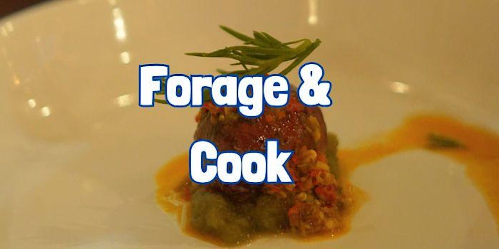 FORAGE & COOK (Full Day) at Arley Hall (Cheshire)