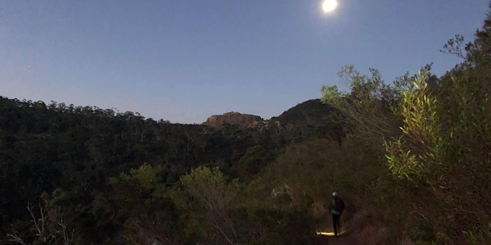 Full Moon Hike - Ellison's Creek & Brownhill 31st May