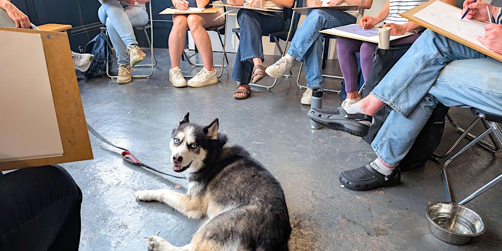 Dog Life Drawing at Kit.Form, Bristol - Spring season