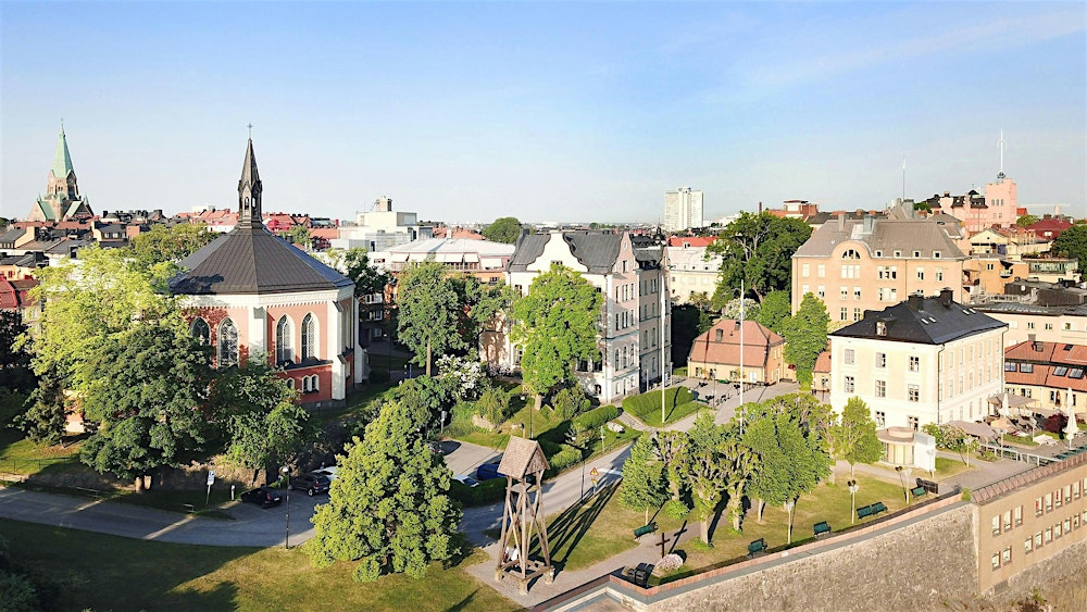 ISTDP and Trauma – Workshop with Jonathan  Entis and Peter Lilliengren