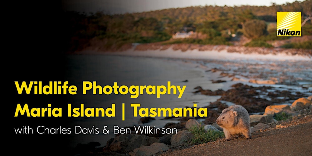 Nikon Experience: Wildlife Photography | Maria Island