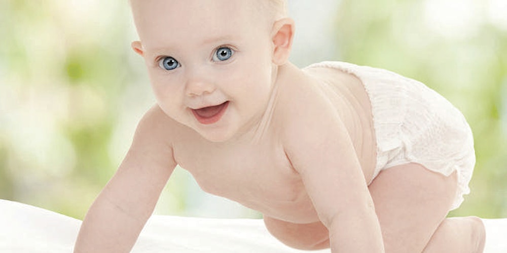 My little crawler - term 1