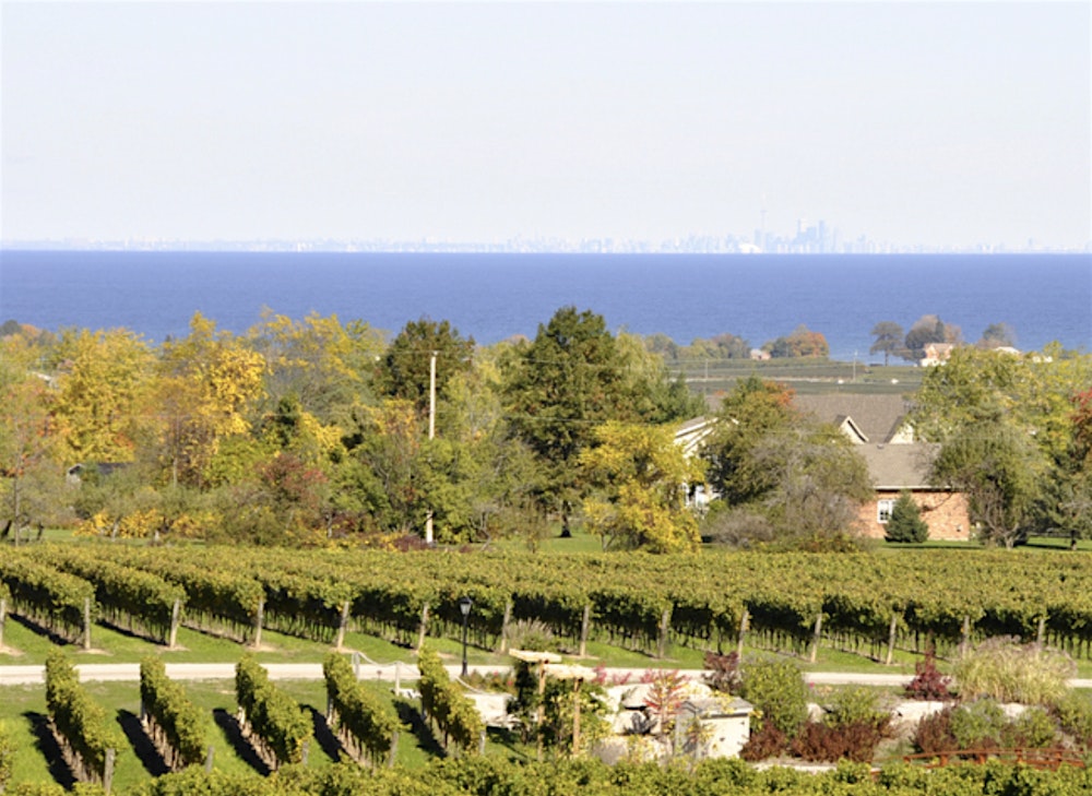 Spring Wine Preview—$50