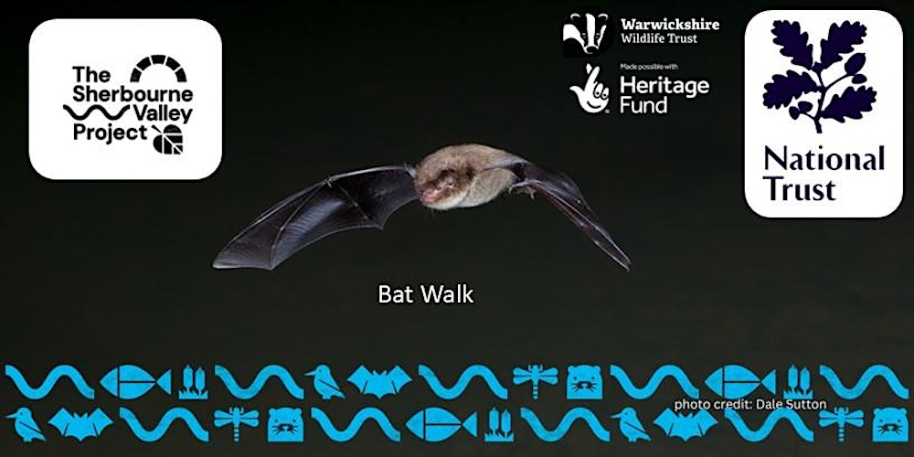 Bat Walk at Charterhouse for City Nature Challenge