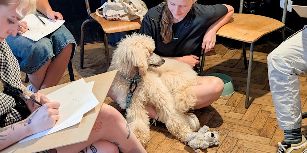 Dog Life Drawing at The Crafty Egg, Fishponds, Bristol - Spring Season