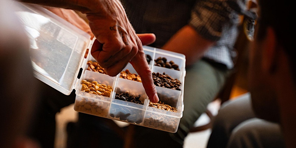 Mod #1 Coffee Discovery / Sommellerie, Sensory Workshops & Tasting