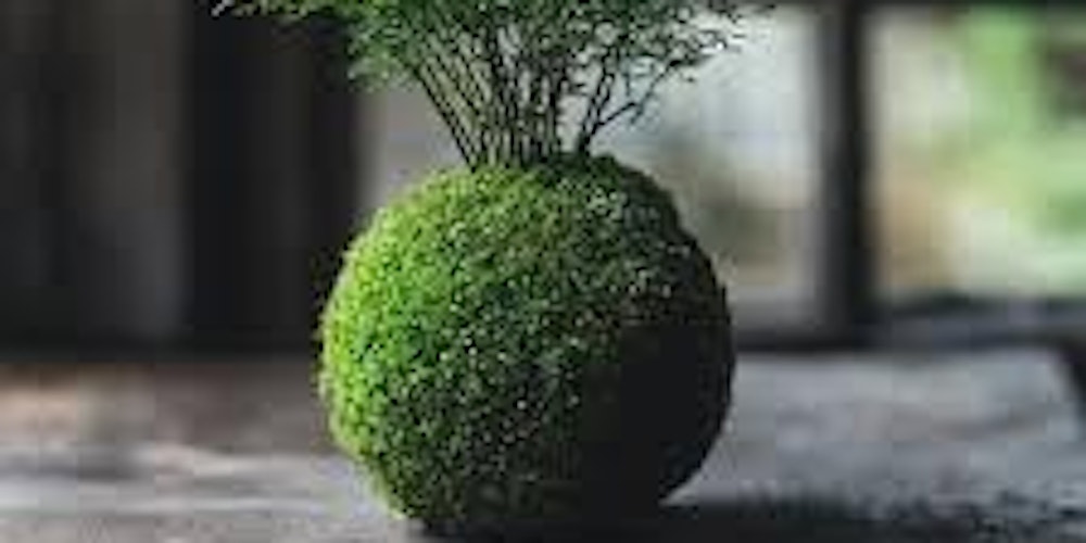 Kokedama Creation Workshop in Henley Beach