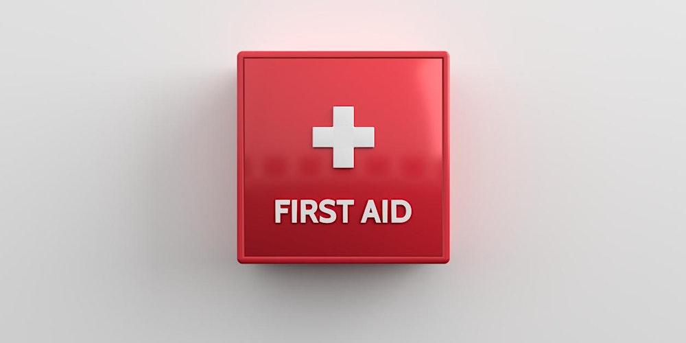 Paediatric First Aid 12hr Blended Learning Training PFA 16