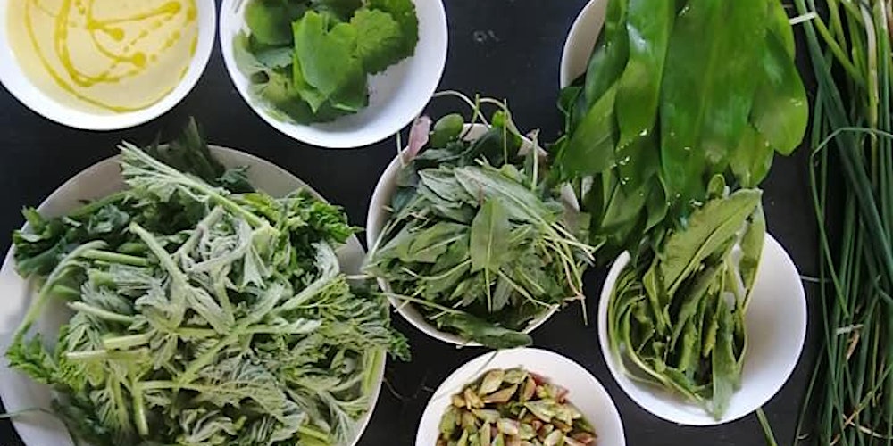 Wild Food Forage of Oldbury Court