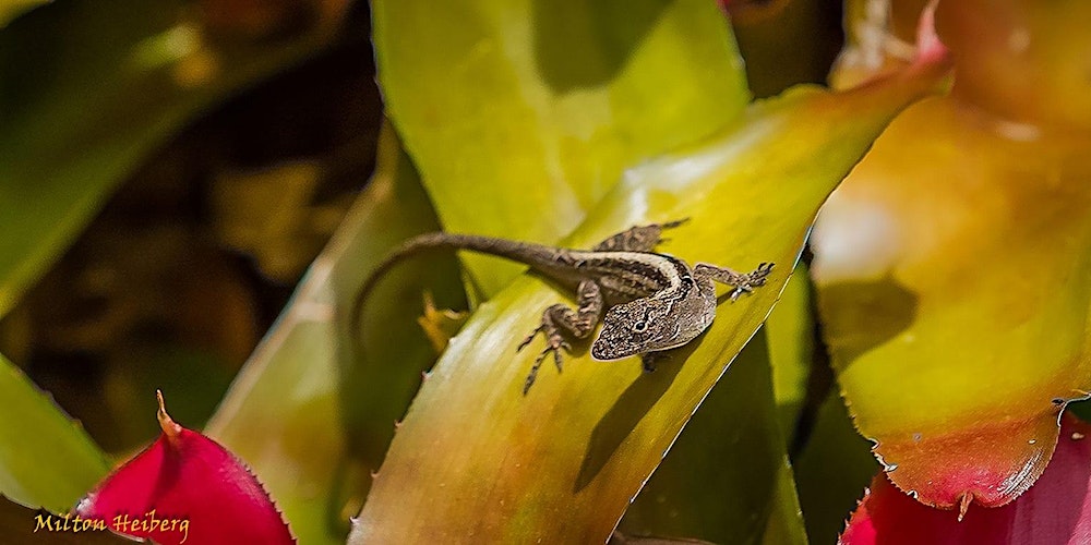 Master Your Camera Controls - Photography Workshop