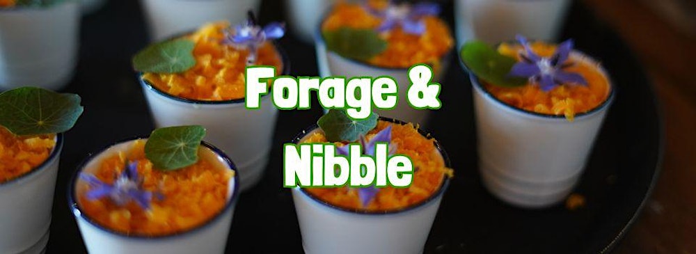 FORAGE & NIBBLE in Dunham Massey (Cheshire)