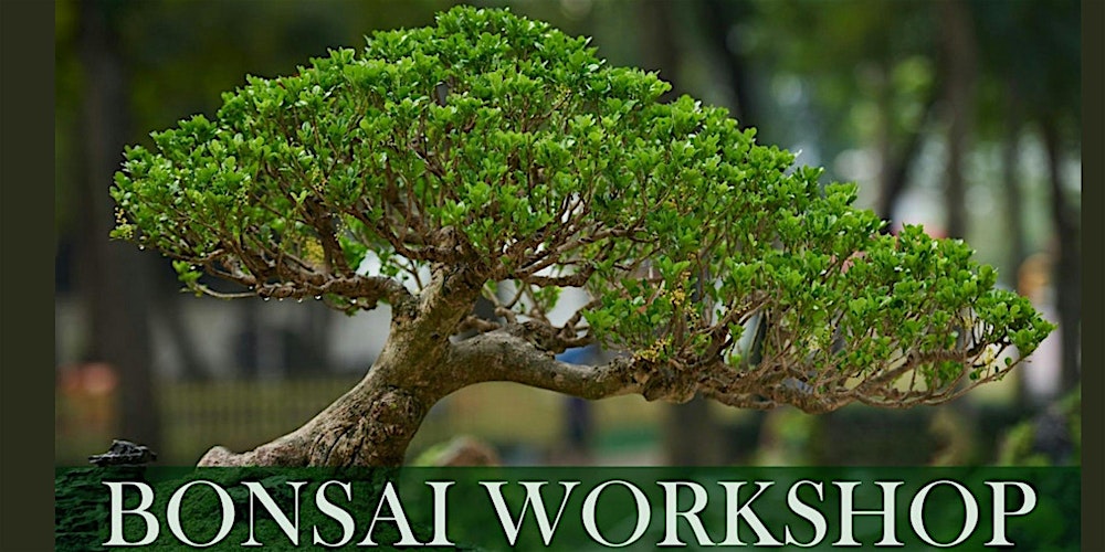 Bonsai Workshop