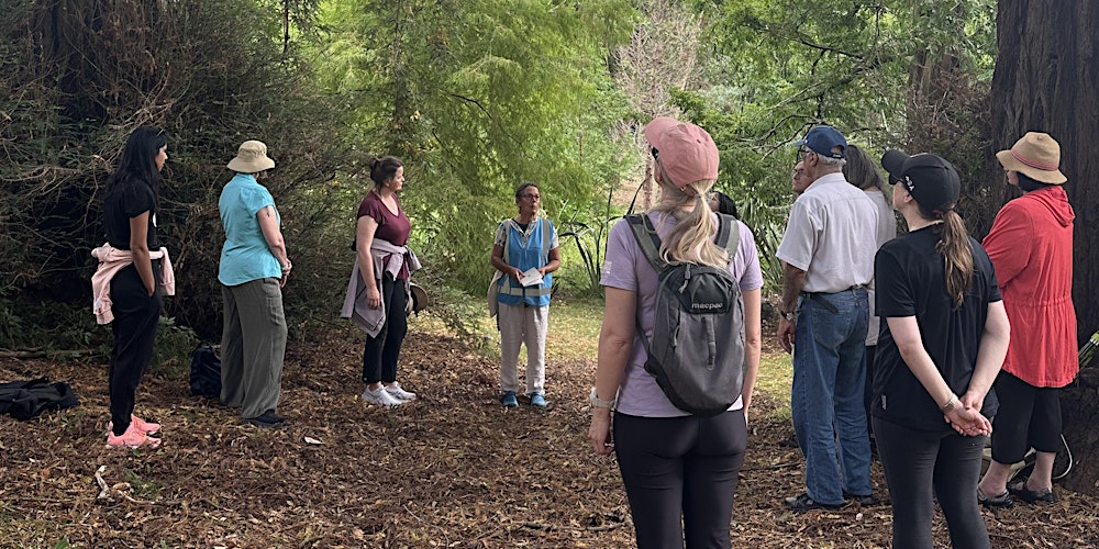 Guided Walk: Forest Bathing