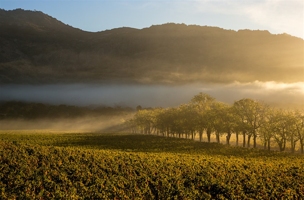 Chart House - Stags' Leap Wine Dinner - San Antonio