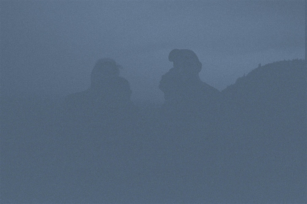 Florist Performs 'The Birds Outside Sang' & 'Holdly' w/ Hello Shark