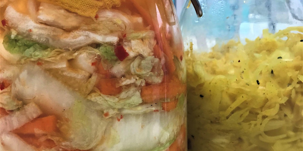 Experience the Magic of Lacto-Fermentation