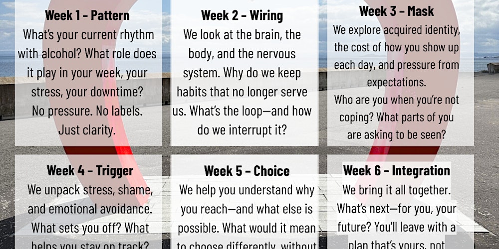 6 Weeks Reset & Integration Course - Alcohol Free Living