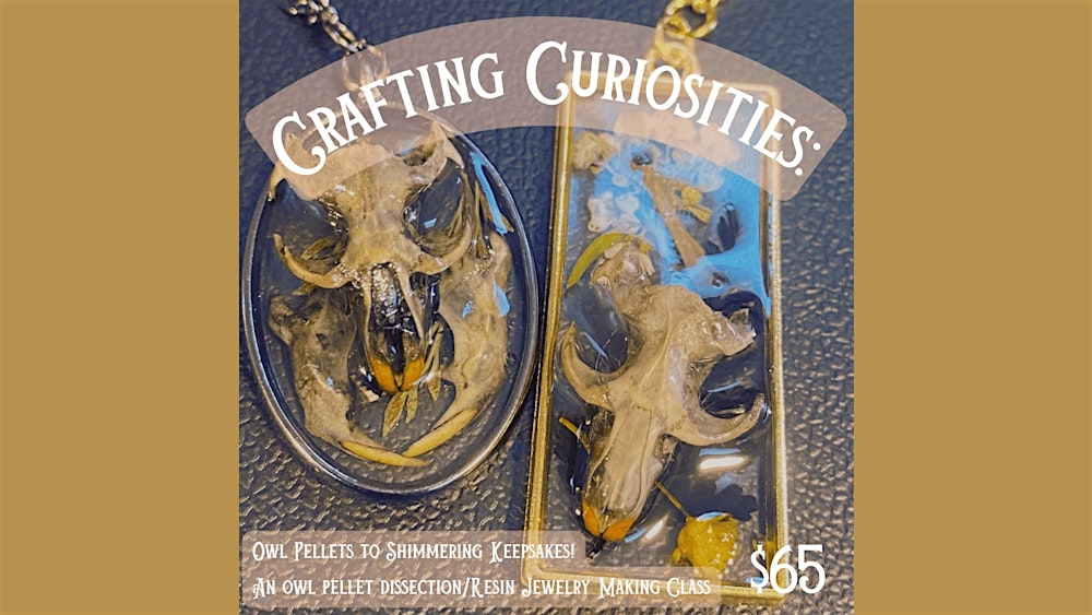 Crafting Curiosities: Owl Pellet Dissection/Jewelry Making Workshop