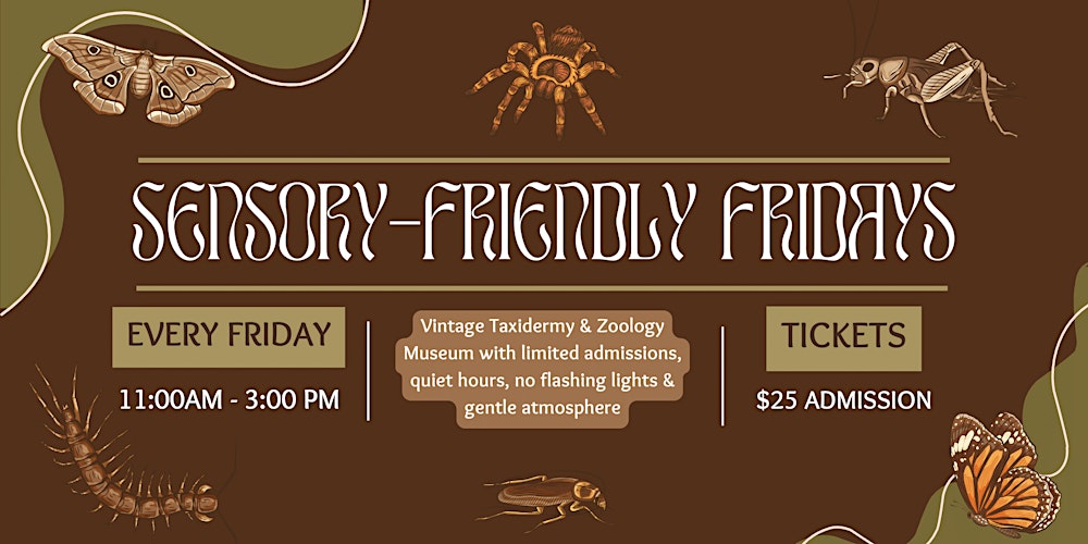 Sensory Friendly Friday