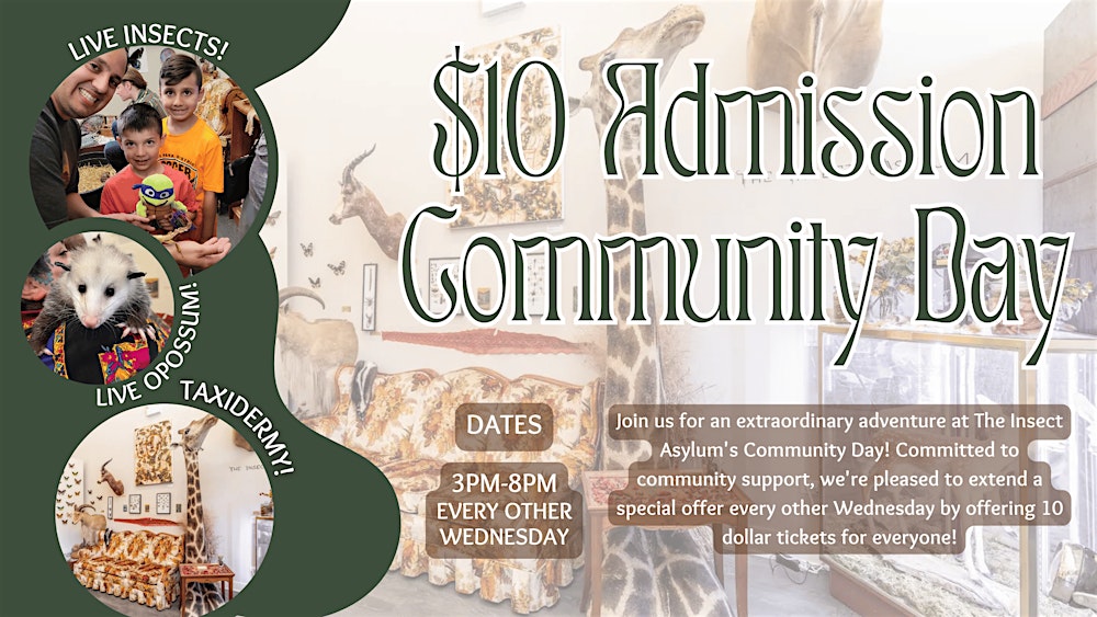 Community Day at The Insect Asylum: $10 Admission for Everyone