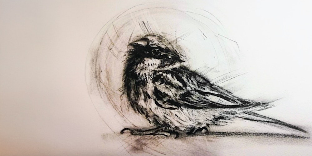 Charcoal and gestural mark making... Spring Birds: Lindsay Norman
